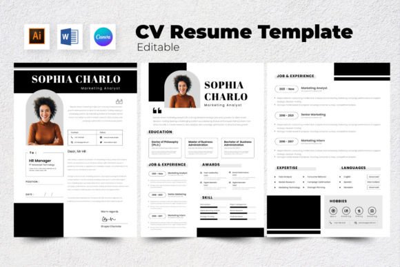 Download Resume / CV Marketing Analyst V9 - Marketing Collection