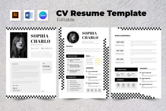 Download Resume / CV Marketing Analyst V5 - Marketing Collection