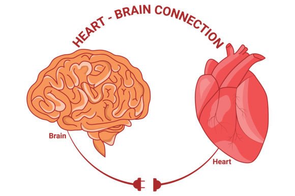 Download Heart and Brain Connection Vector Design - Connect Collection