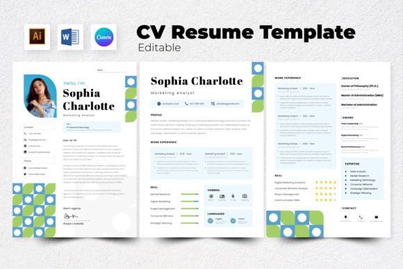 Download Resume / CV Marketing Analyst V2 - Marketing Collection